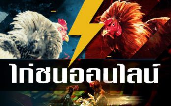 วิธีเล่น ไก่ชนออนไลน์ ให้ได้เงิน กับการวางแผน การแทงไก่ชนออนไลน์